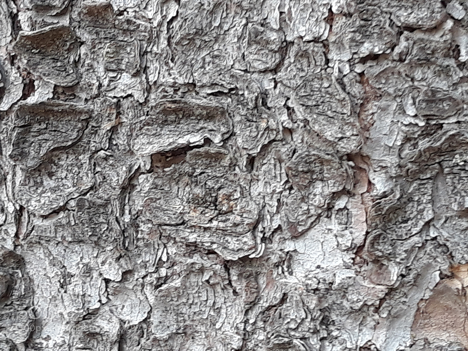 Samsung Galaxy J7 sample photo. Untitled photography