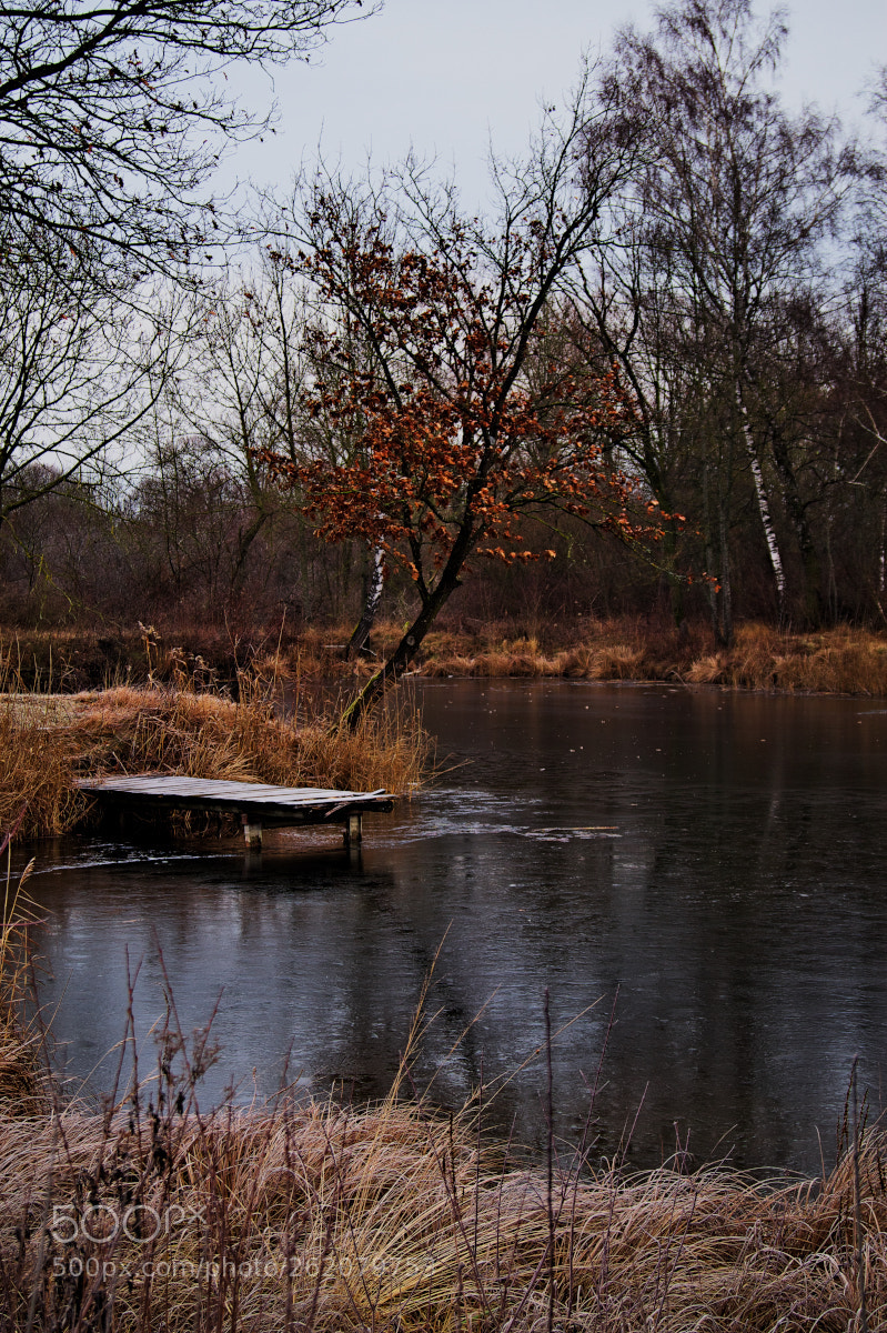 Sony SLT-A58 sample photo. Milder winter photography