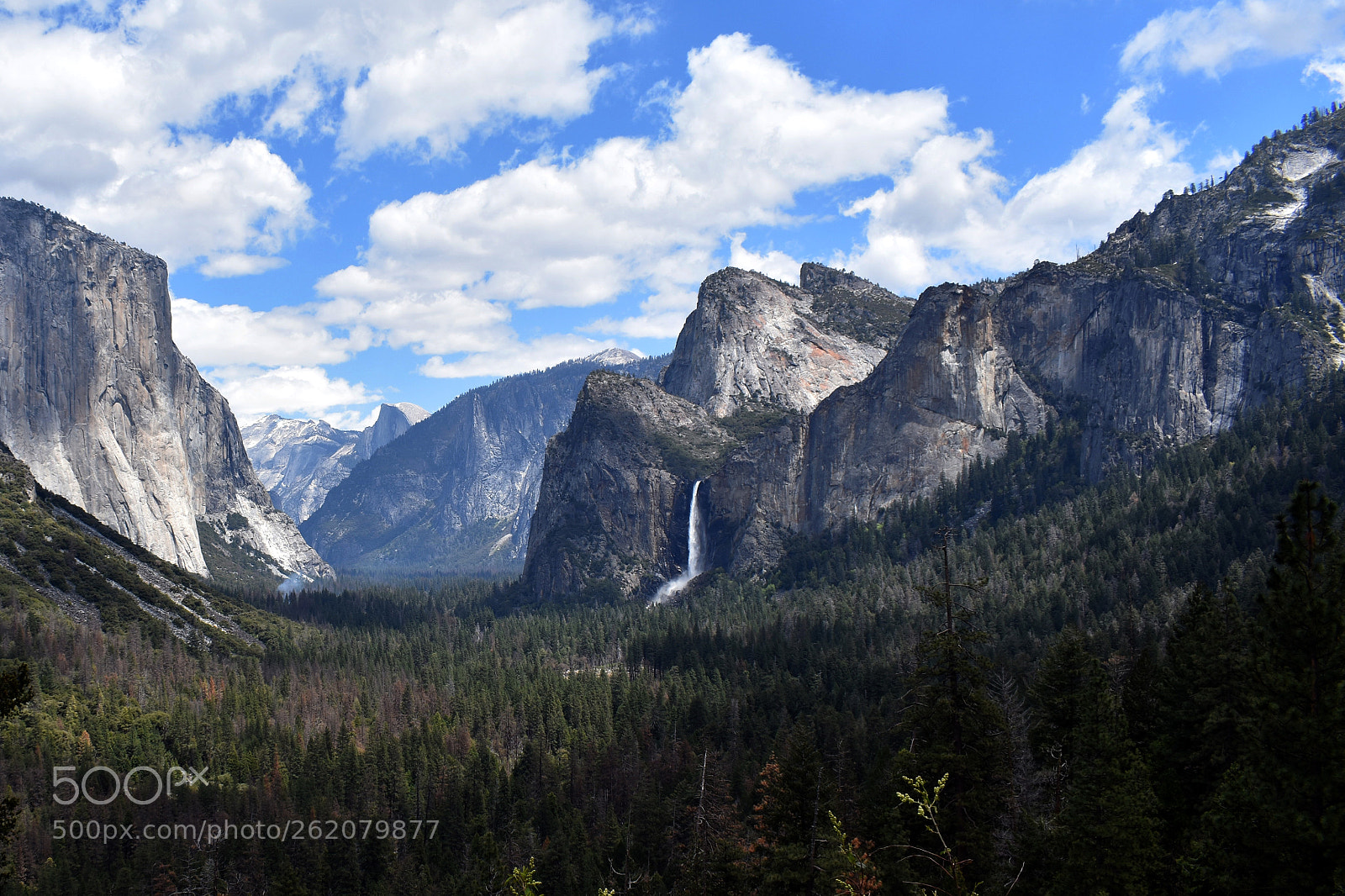 Nikon D3400 sample photo. Yosemite photography