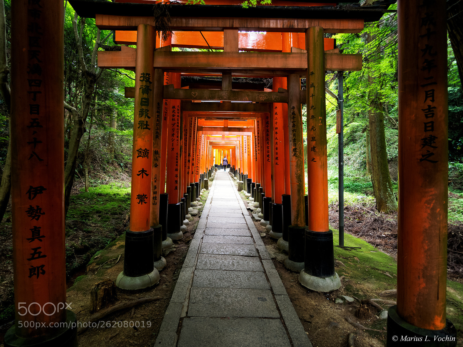 Olympus OM-D E-M5 II sample photo. Fushimi inari-taisha photography