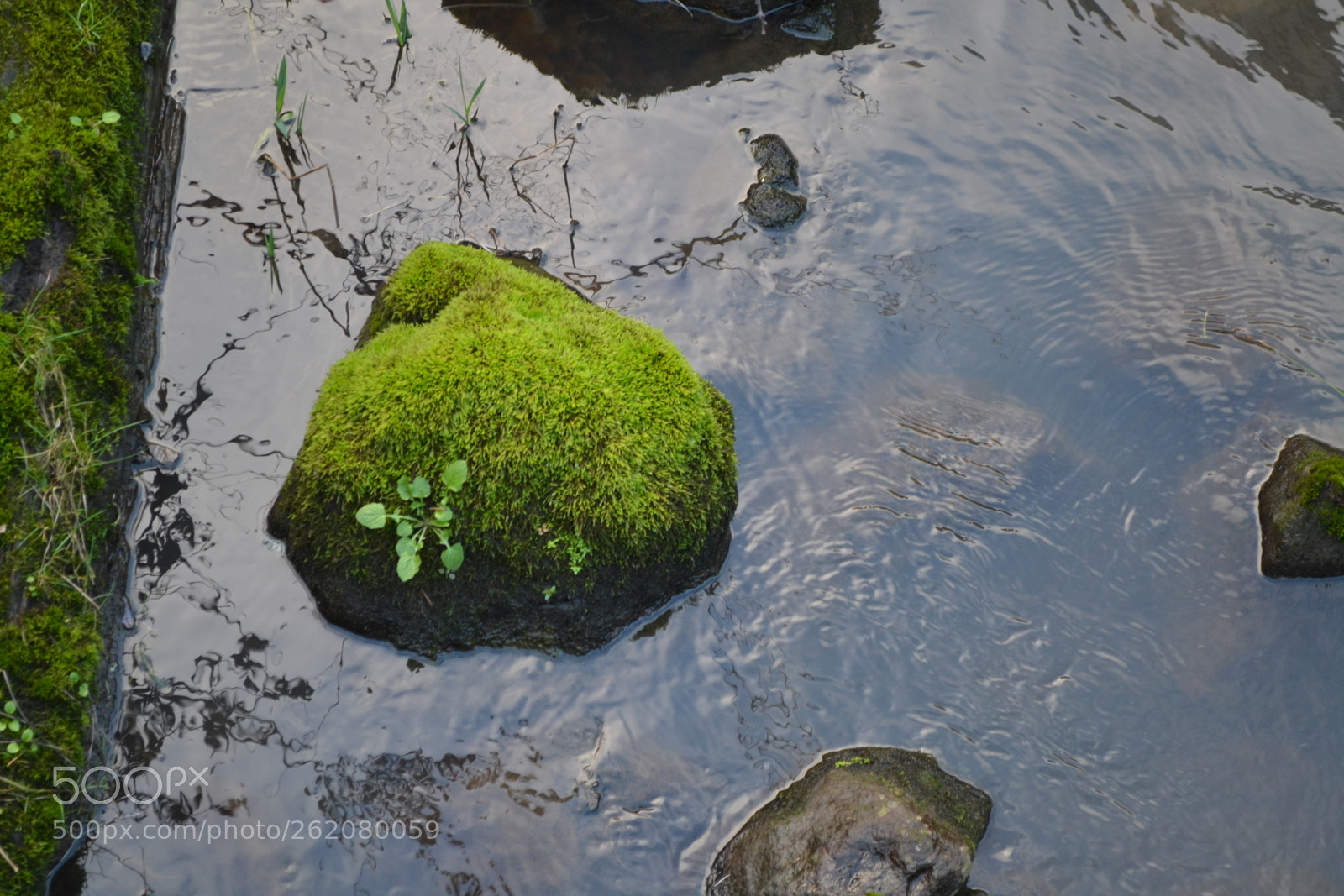 Nikon D3100 sample photo. Handsome photography