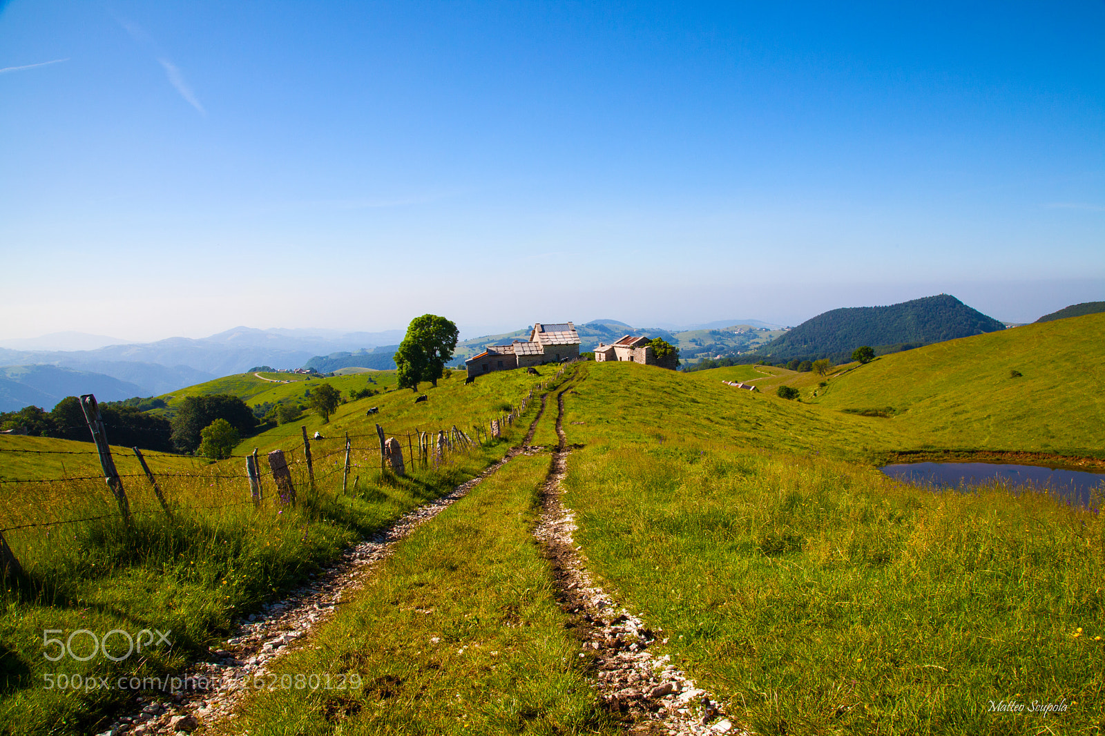 Canon EOS 5D Mark II sample photo. Sengio rosso photography