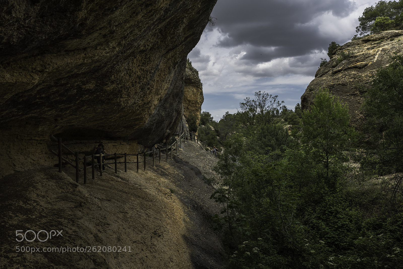 Nikon D750 sample photo. Barranc del fon photography