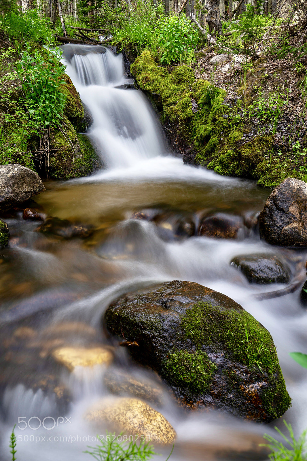 Sony a7R III sample photo. Boulder brook photography