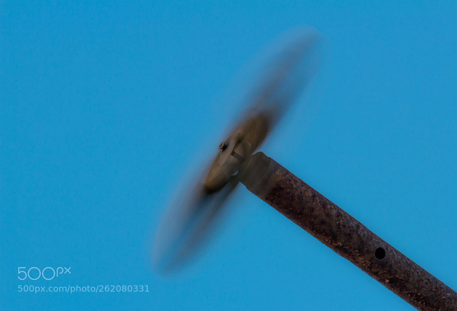 Canon EOS 600D (Rebel EOS T3i / EOS Kiss X5) sample photo. Listening the wind photography