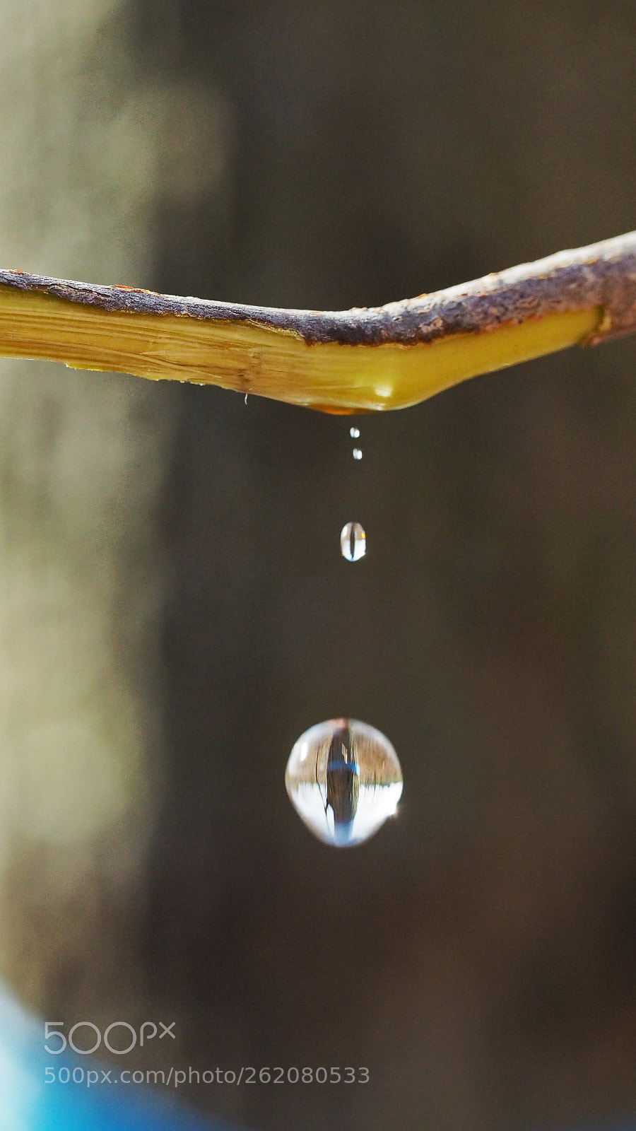 Olympus OM-D E-M5 II sample photo. Mid air droplet photography