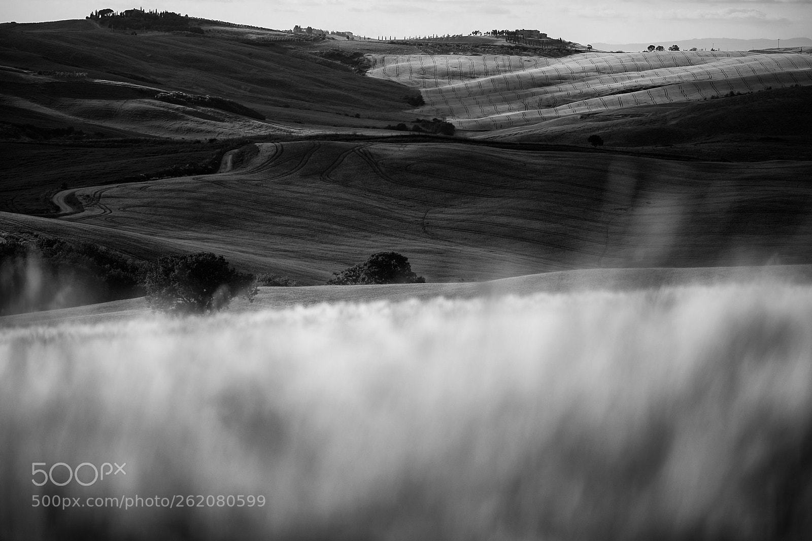 Canon EOS 5D Mark IV sample photo. Tuscan landscapes (2018 - iv) photography