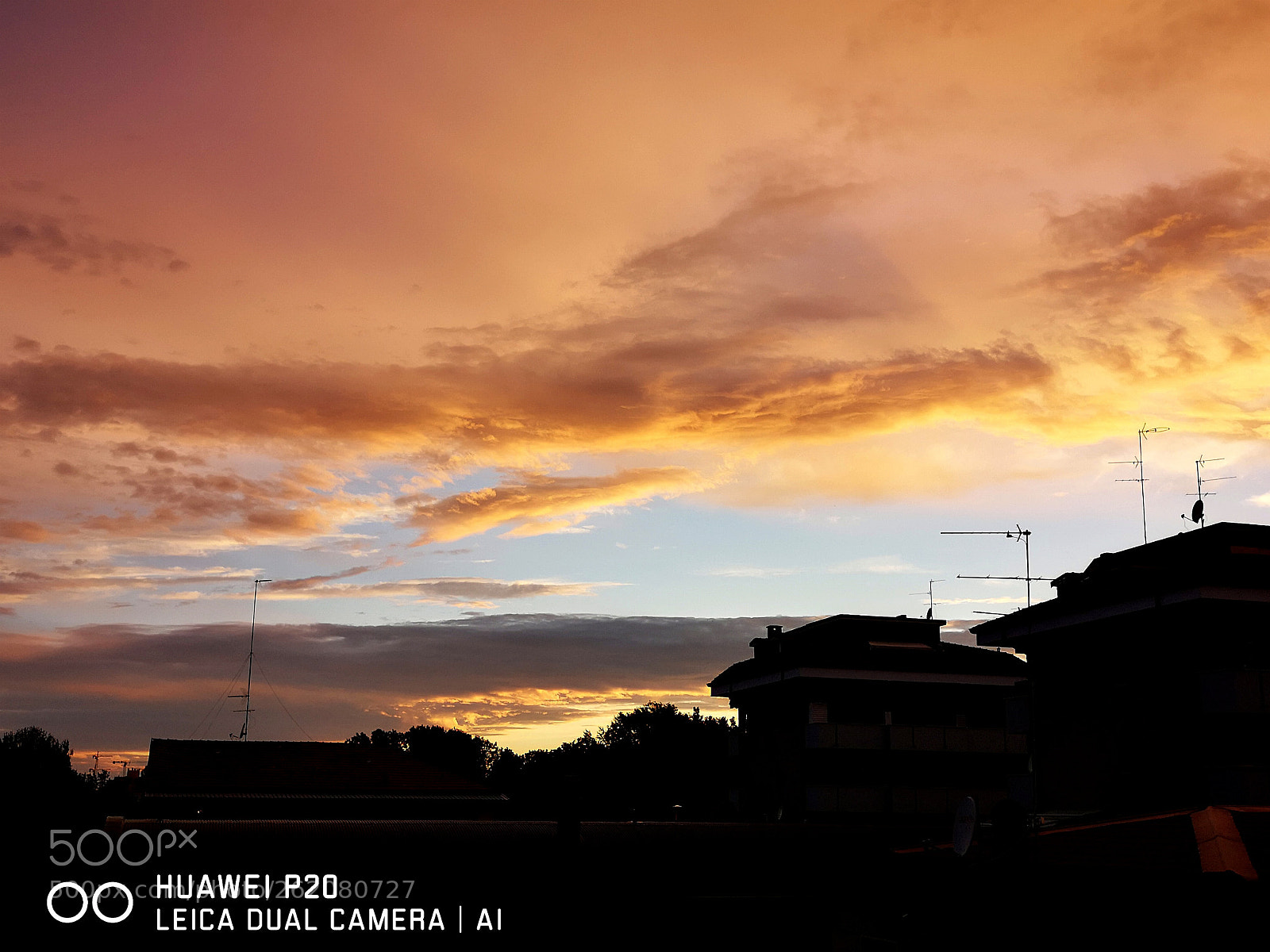 HUAWEI P20 sample photo. Untitled photography