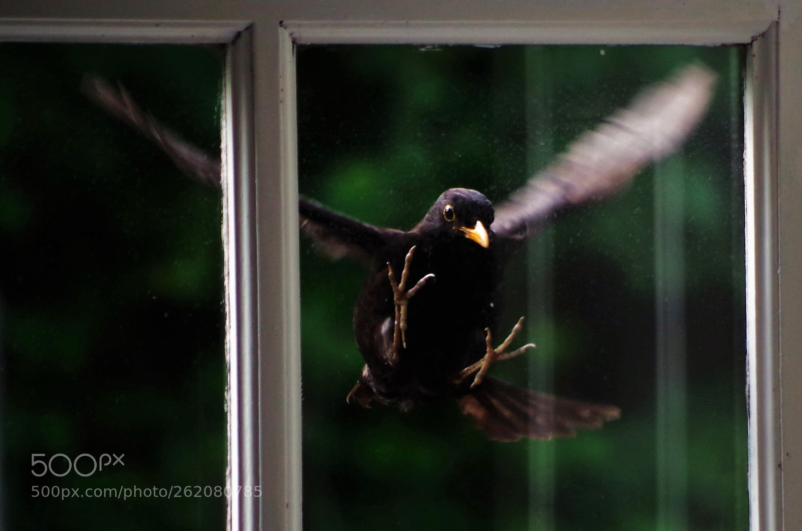 HD Pentax DA 55-300mm F4.0-5.8 ED WR sample photo. Outside photography