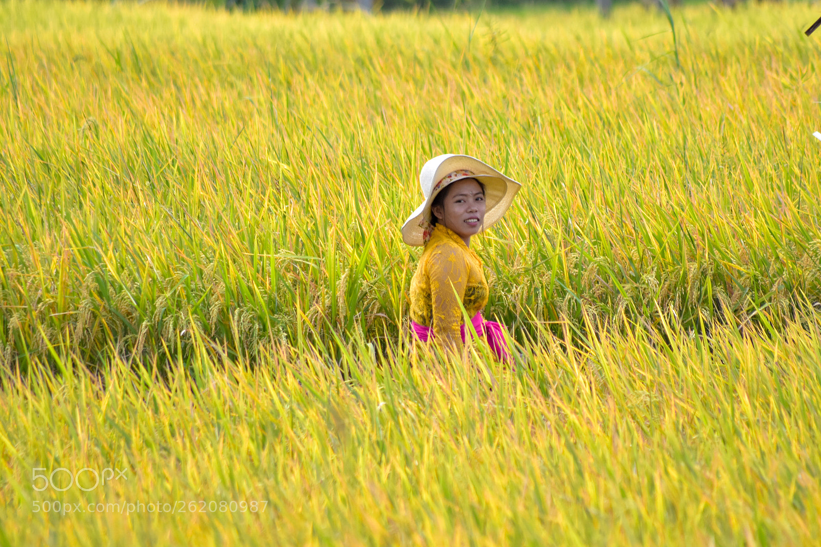 Nikon D5600 sample photo. Yellow party photography