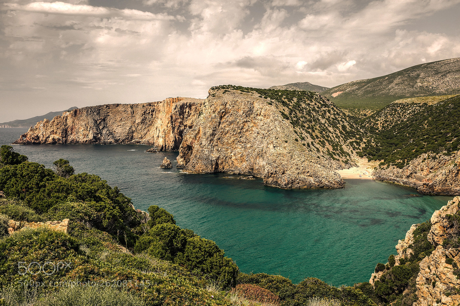 Canon EOS 5DS sample photo. Cala domestica photography