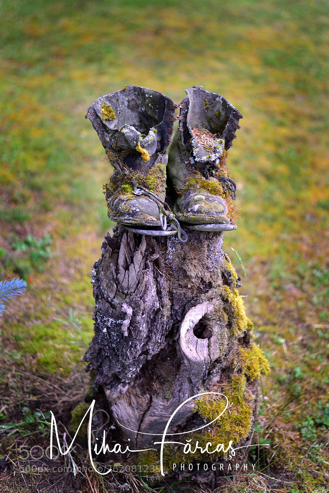 Nikon D610 sample photo. Boots ... photography