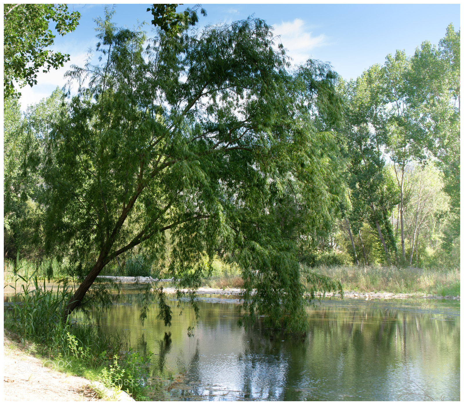 Nikon D7200 sample photo. Riverside photography