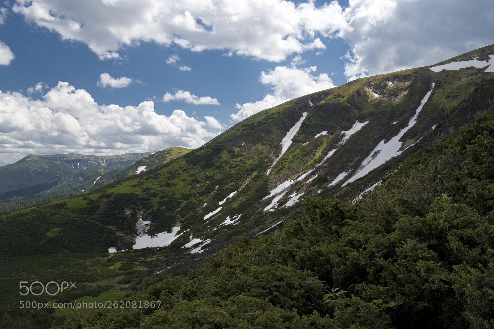 Nikon D7200 sample photo. The side of hoverla photography