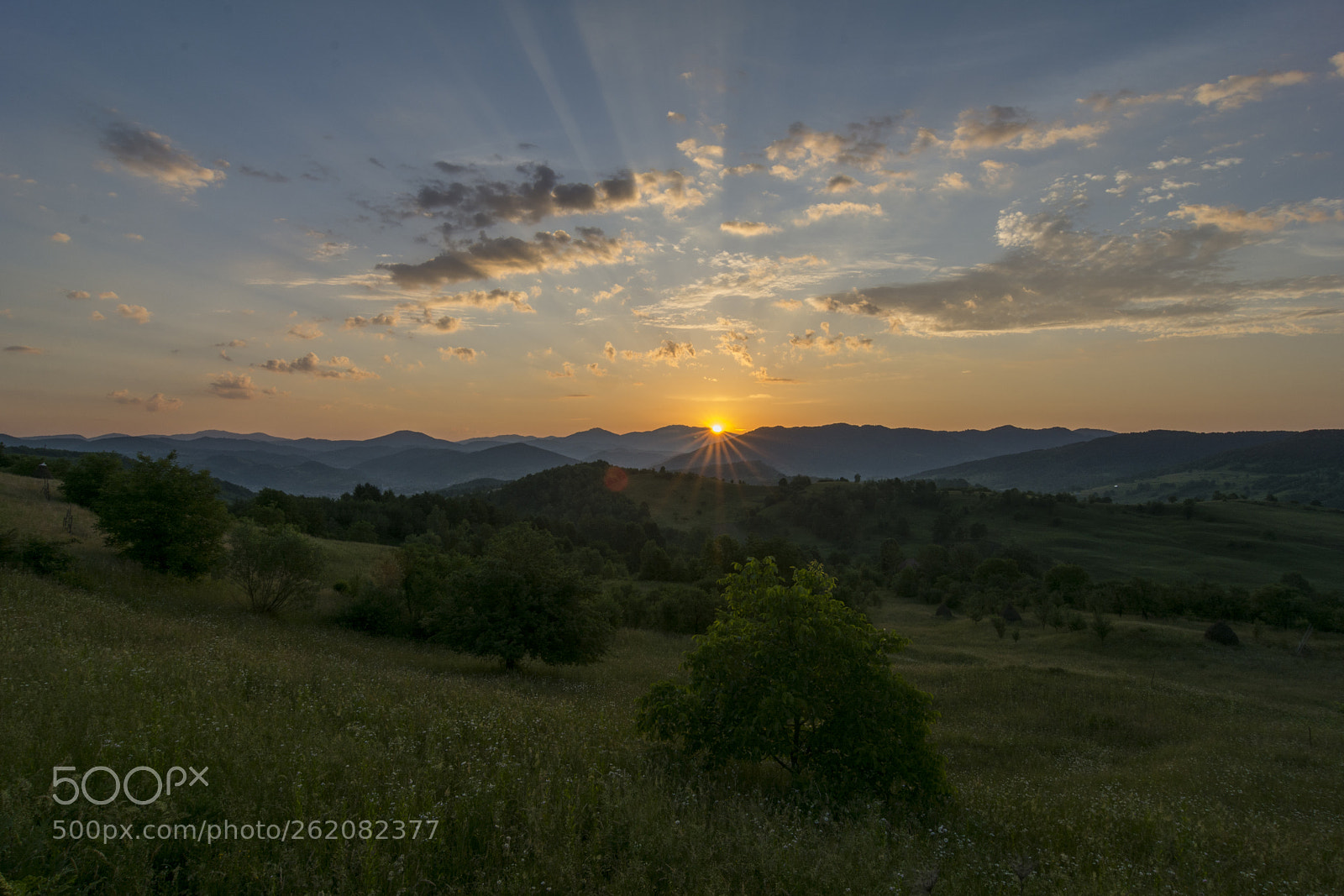 Nikon D7100 sample photo. Morning in maramureș photography