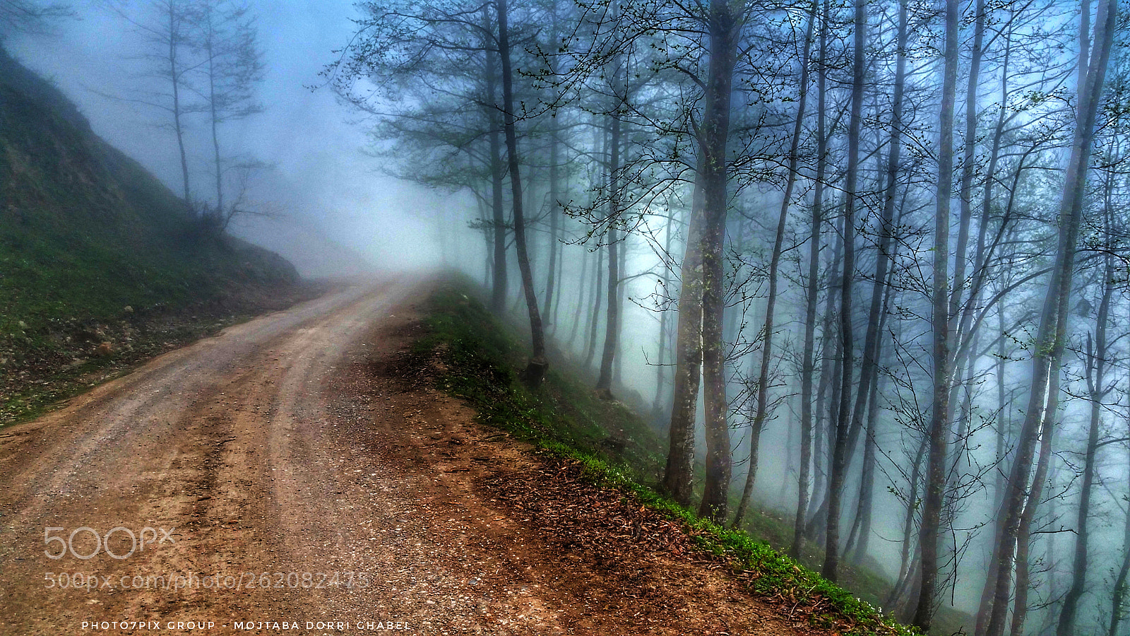 Samsung Galaxy Note4 sample photo. Foggy forest photography