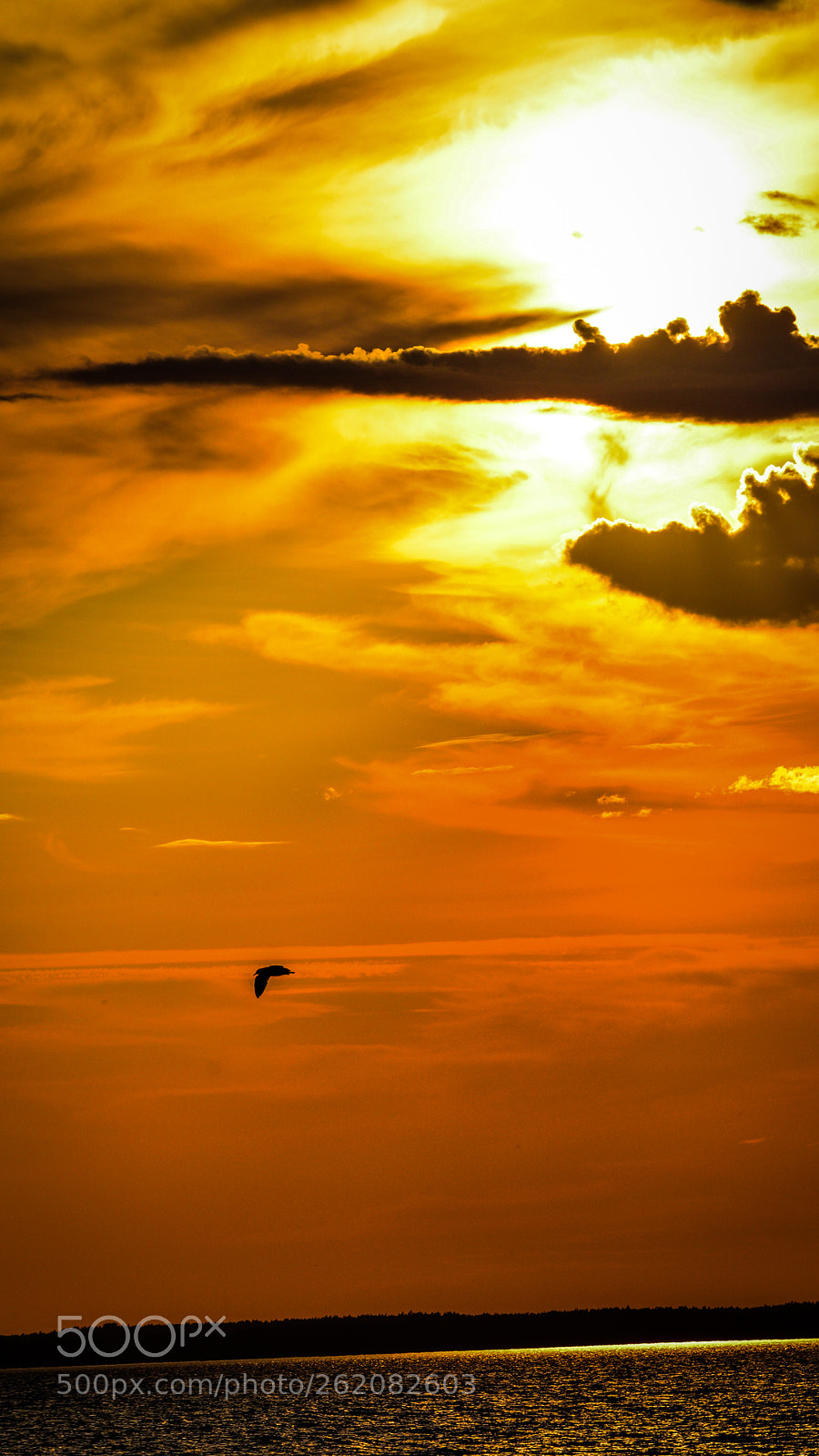 Nikon D5200 sample photo. Sundawn over lake v photography