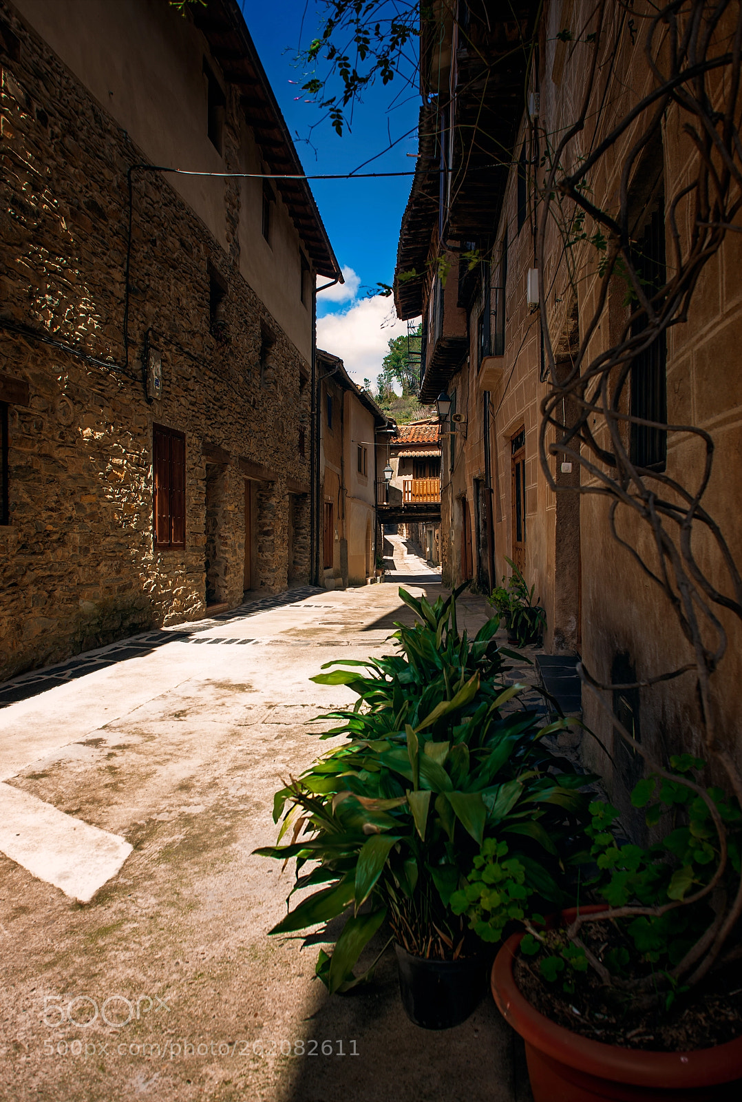 Nikon D610 sample photo. A street of... robledillo photography