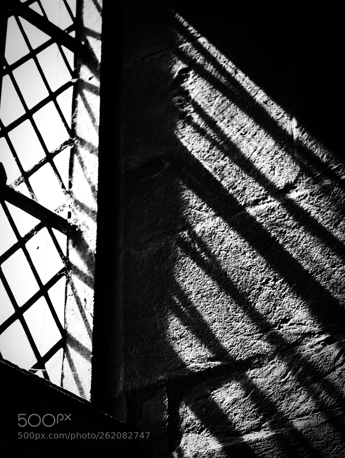 Nikon D3100 sample photo. Shadowlines photography