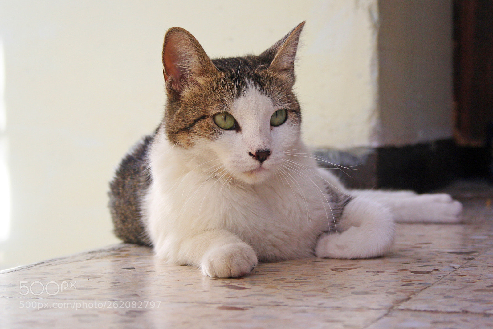 Canon EOS 350D (EOS Digital Rebel XT / EOS Kiss Digital N) sample photo. Sabino lelt () photography