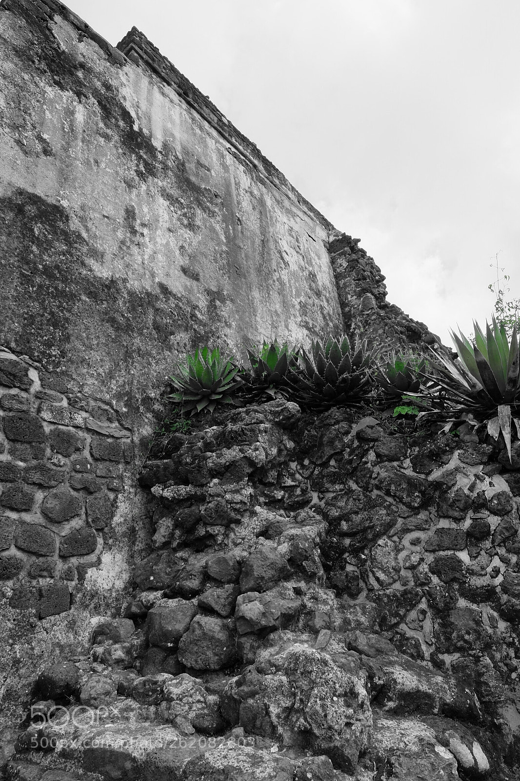 Fujifilm X-T1 sample photo. El tepozteco photography