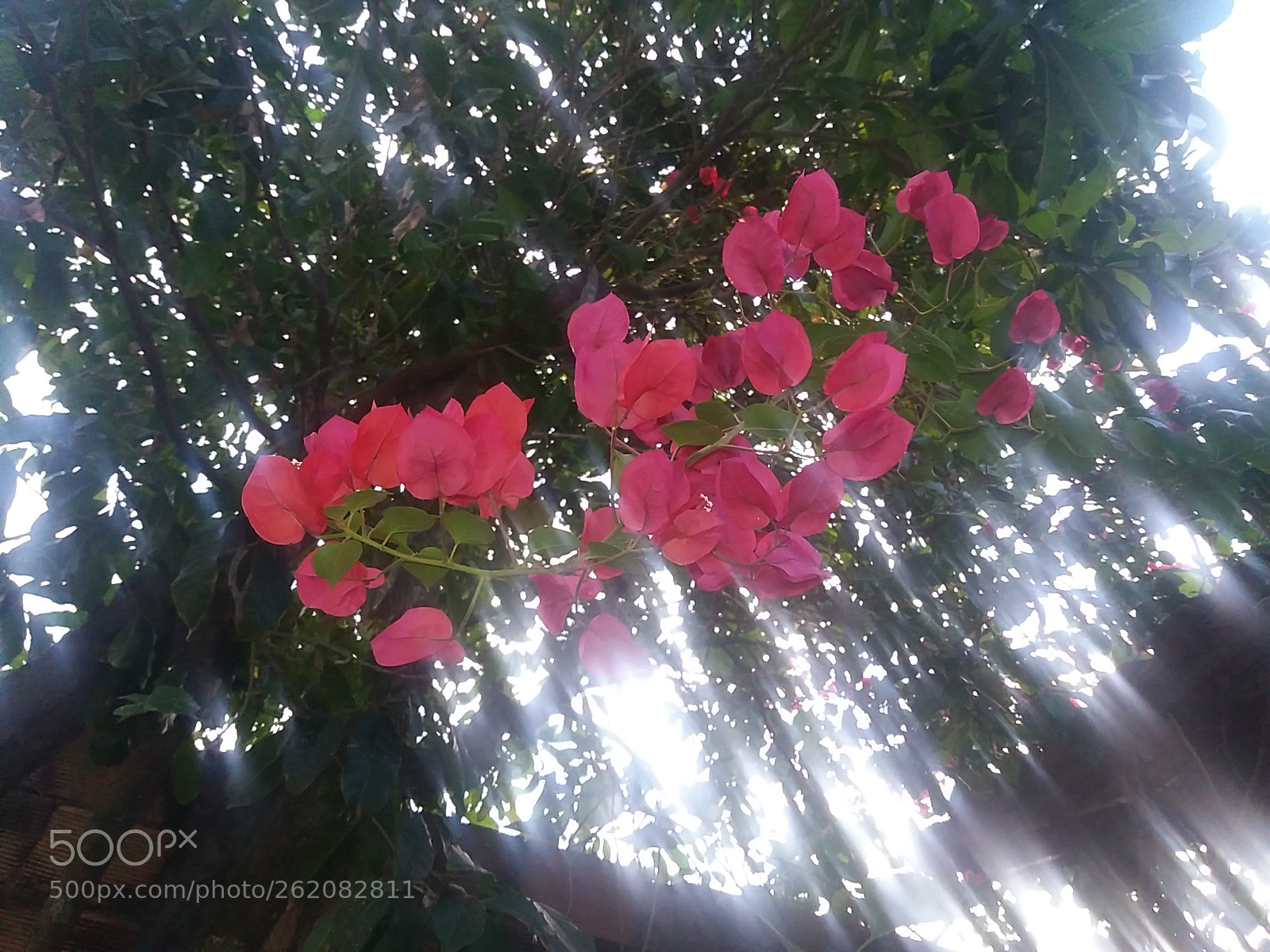 Samsung Galaxy J5 sample photo. Untitled photography