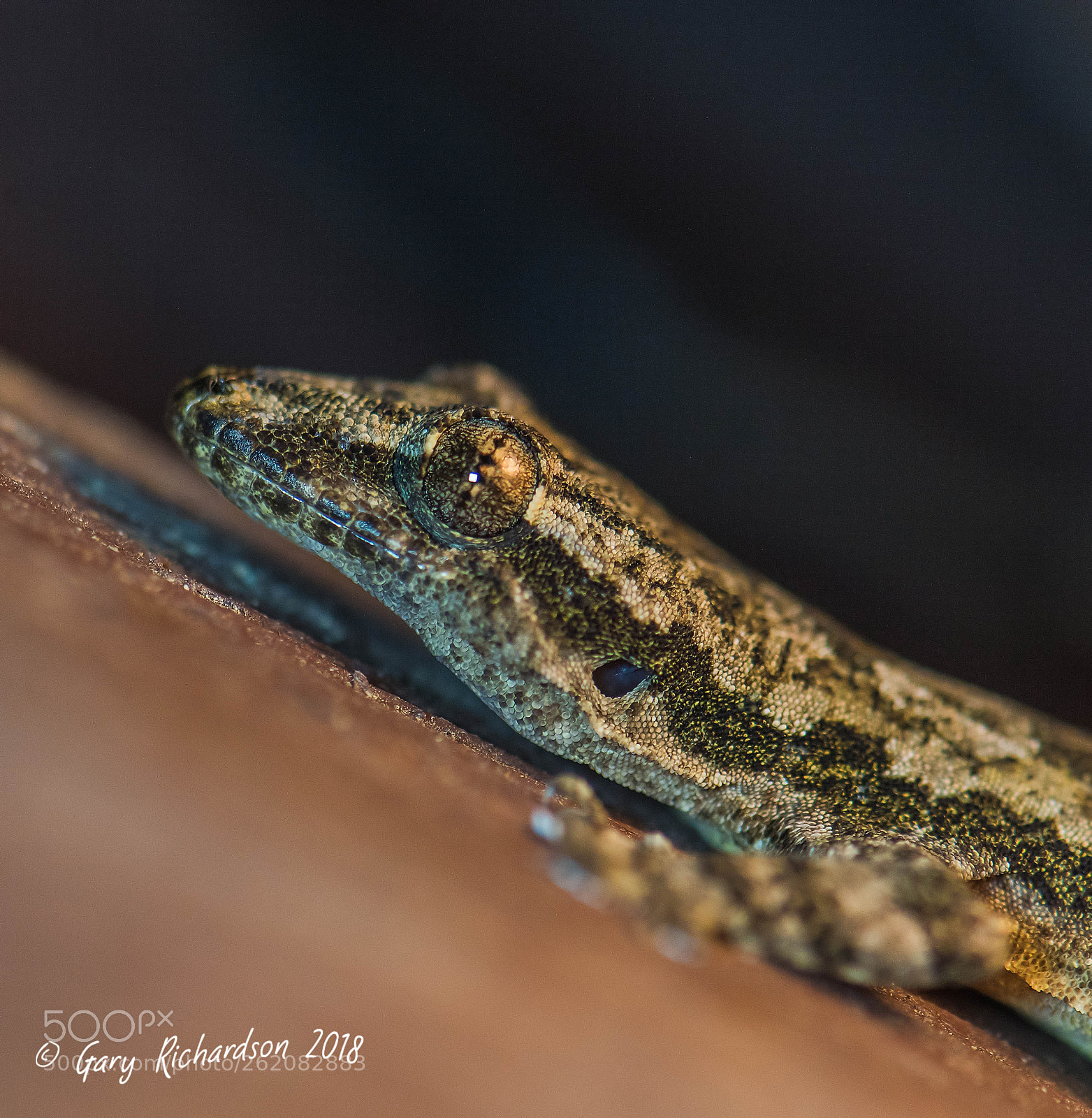 Nikon D810 sample photo. House gheko koh chang photography