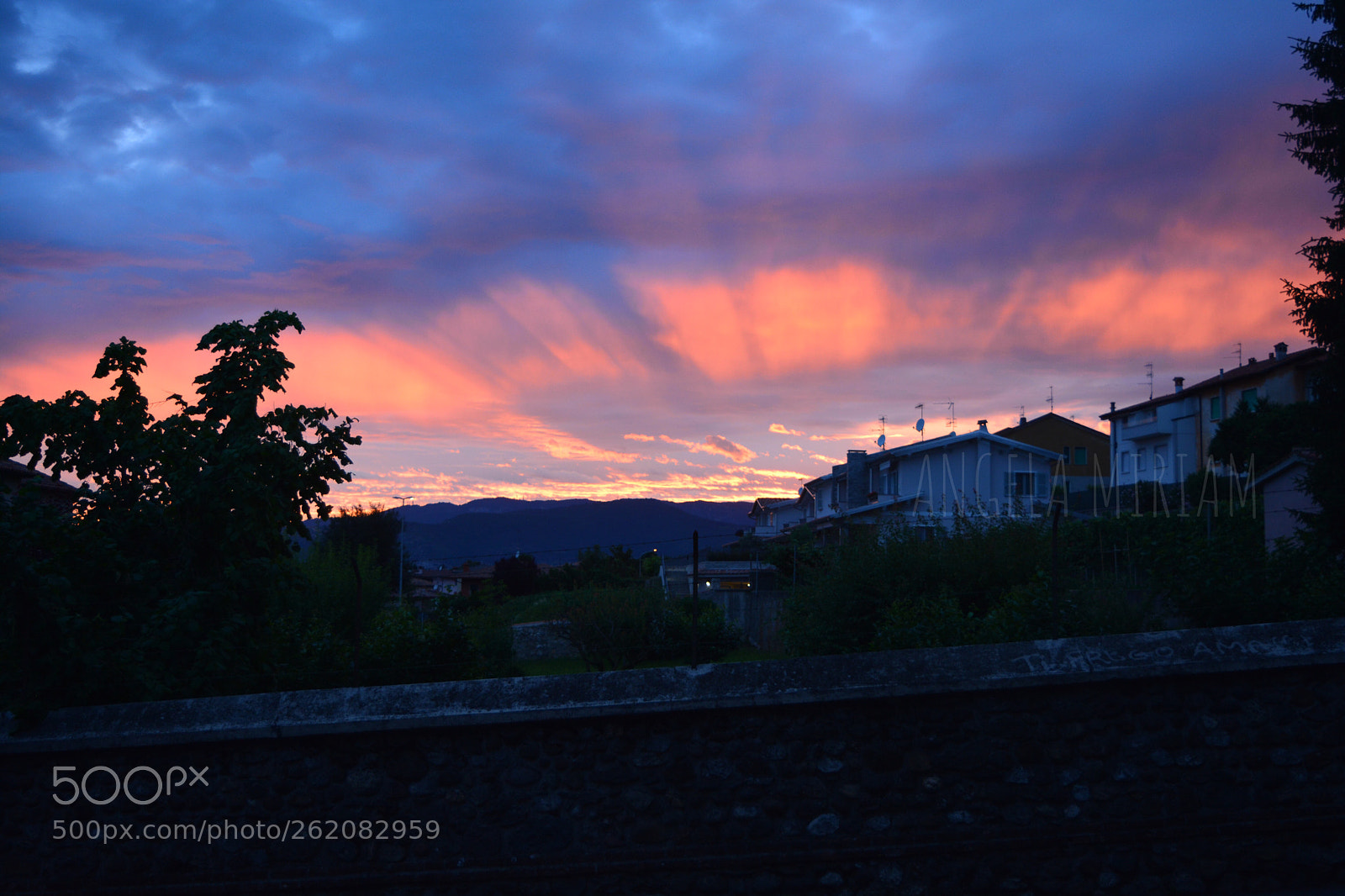 Nikon D5200 sample photo. Carpe diem ~ improvise sunset  photography