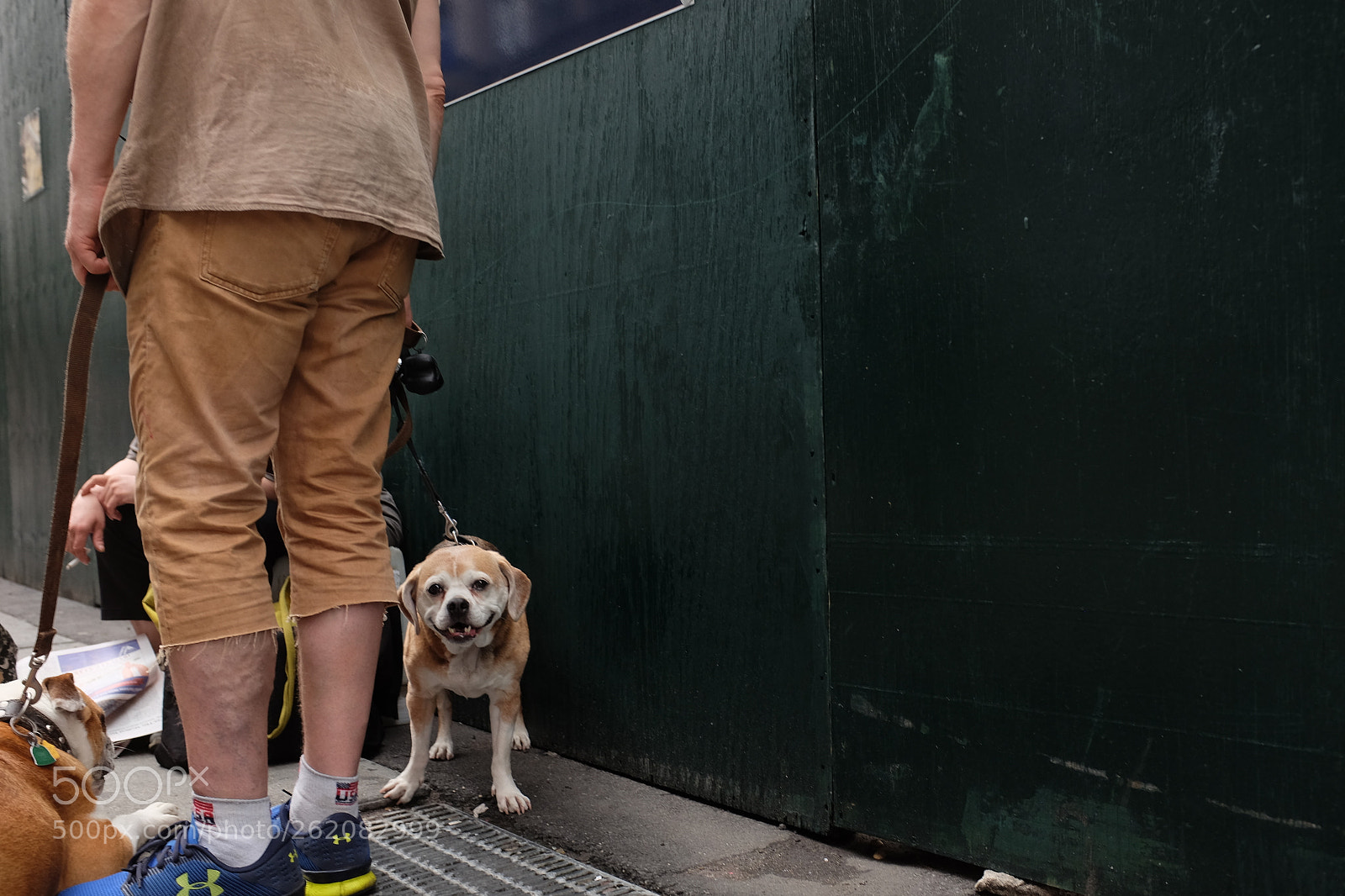 Fujifilm X100T sample photo. Untitled photography