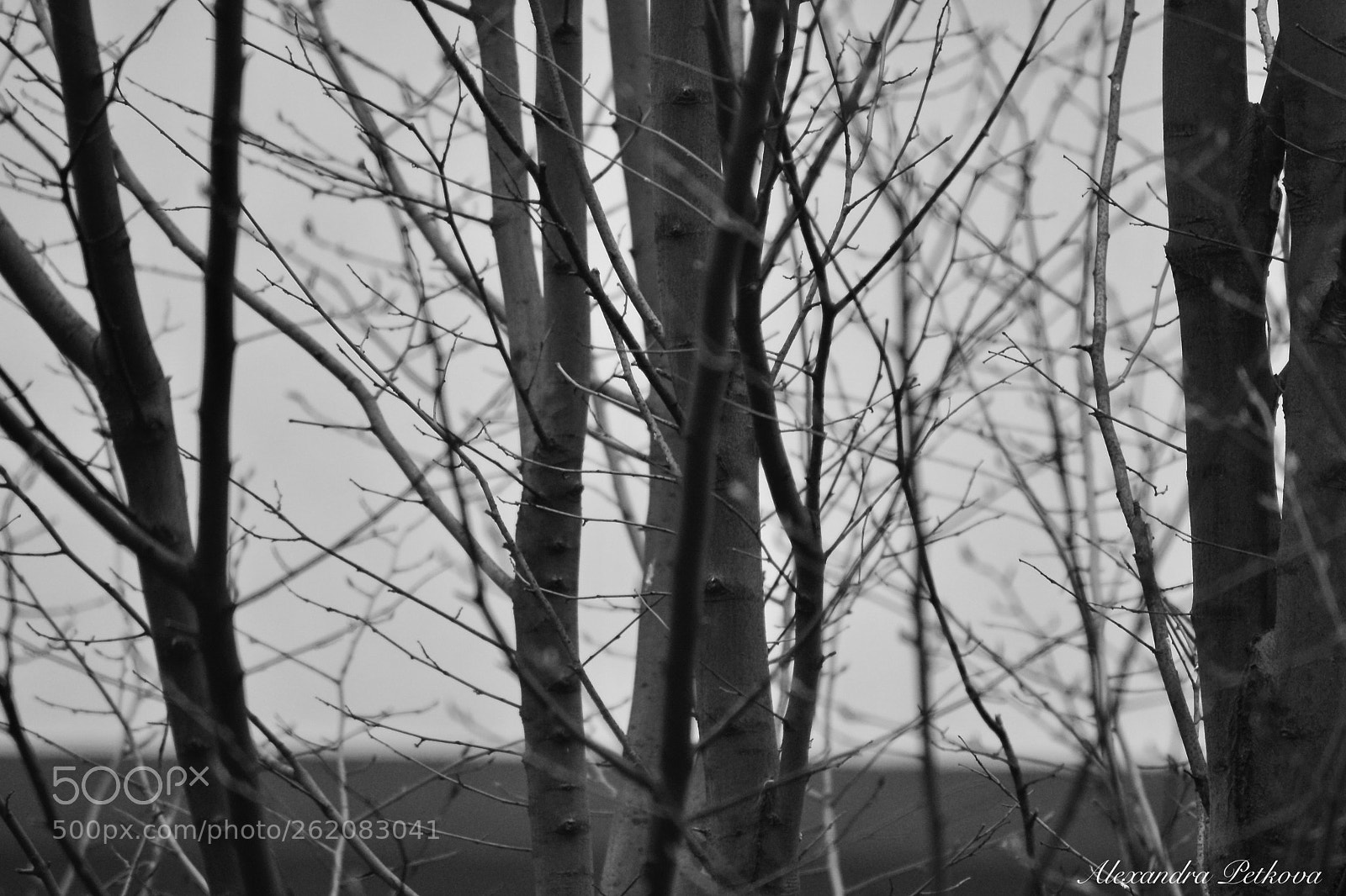 Nikon D3100 sample photo. Cold winter photography