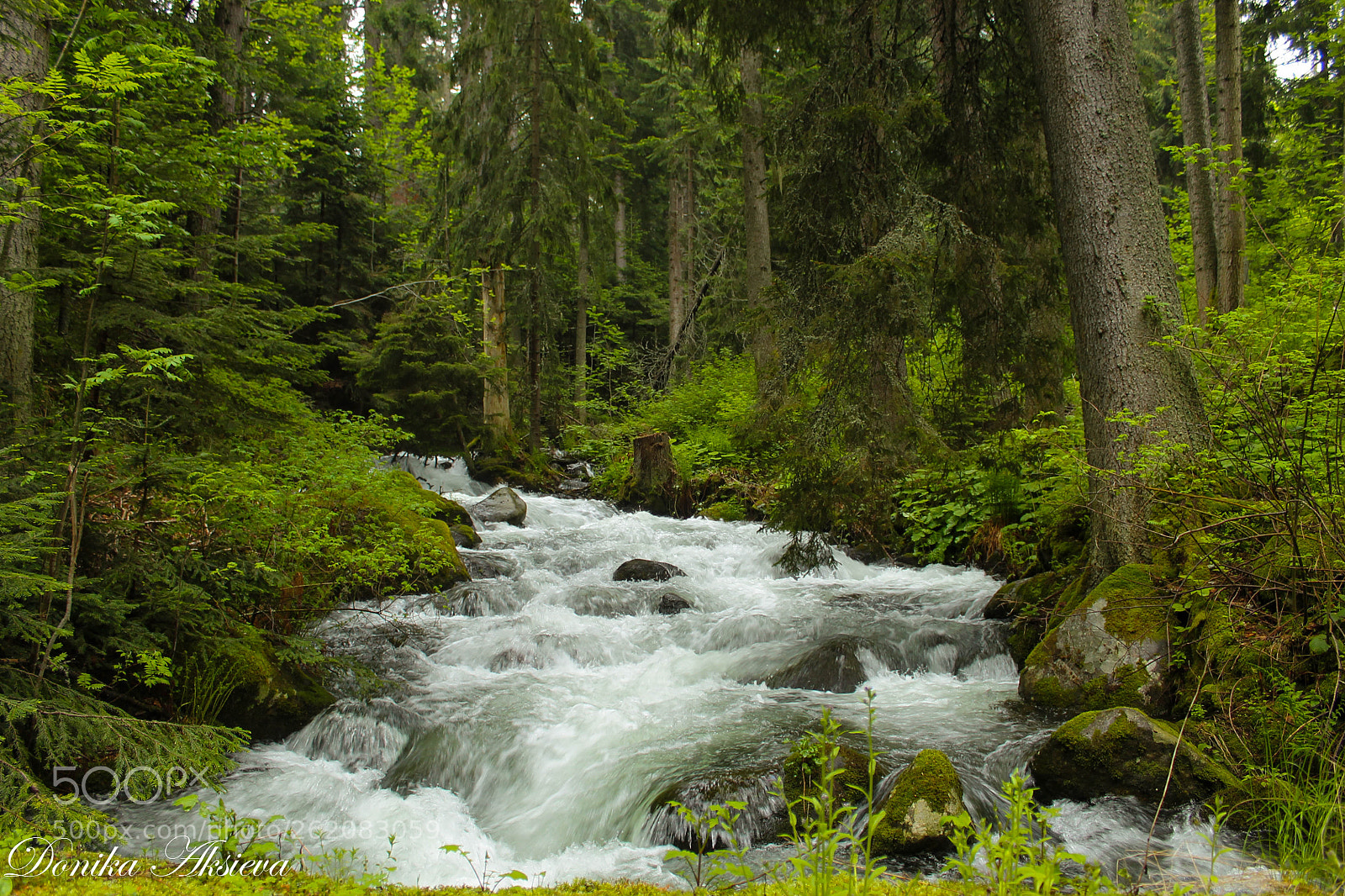 Canon EOS 1100D (EOS Rebel T3 / EOS Kiss X50) sample photo. Waterfall among the trees photography