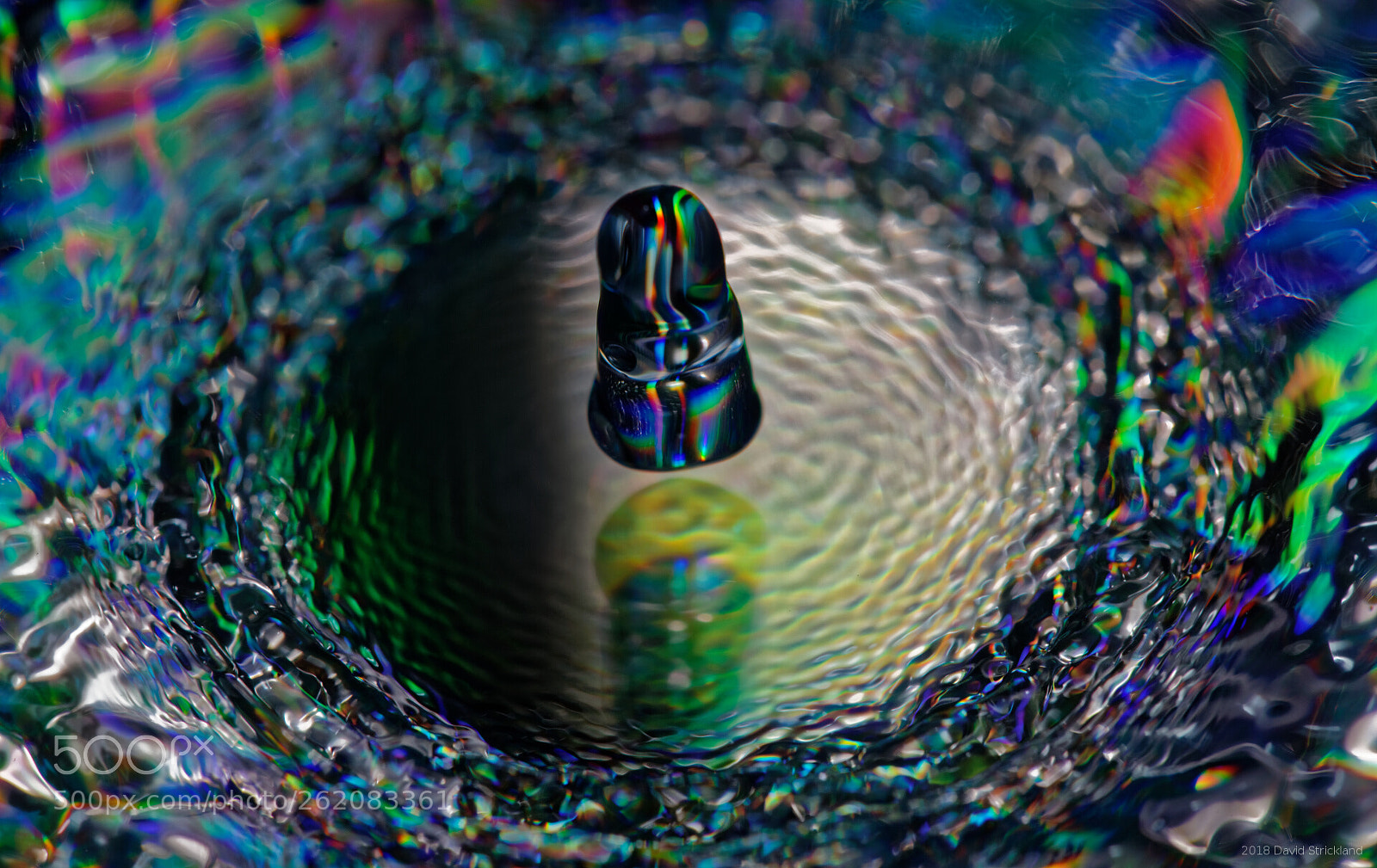 Canon EF 100mm F2.8L Macro IS USM sample photo. The colors of black photography