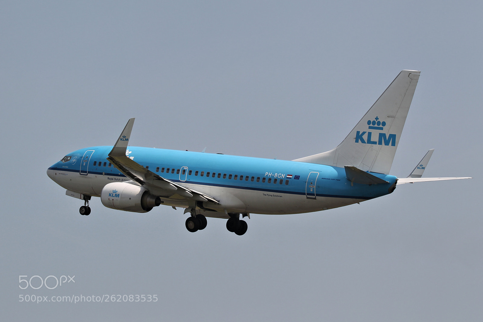 Canon EOS-1D Mark IV sample photo. 737 jan van gent (gannet) photography