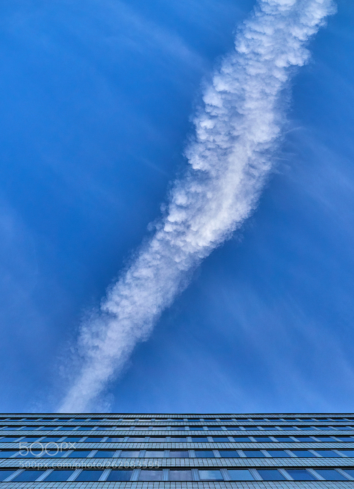 Olympus OM-D E-M1 Mark II sample photo. Looking up photography