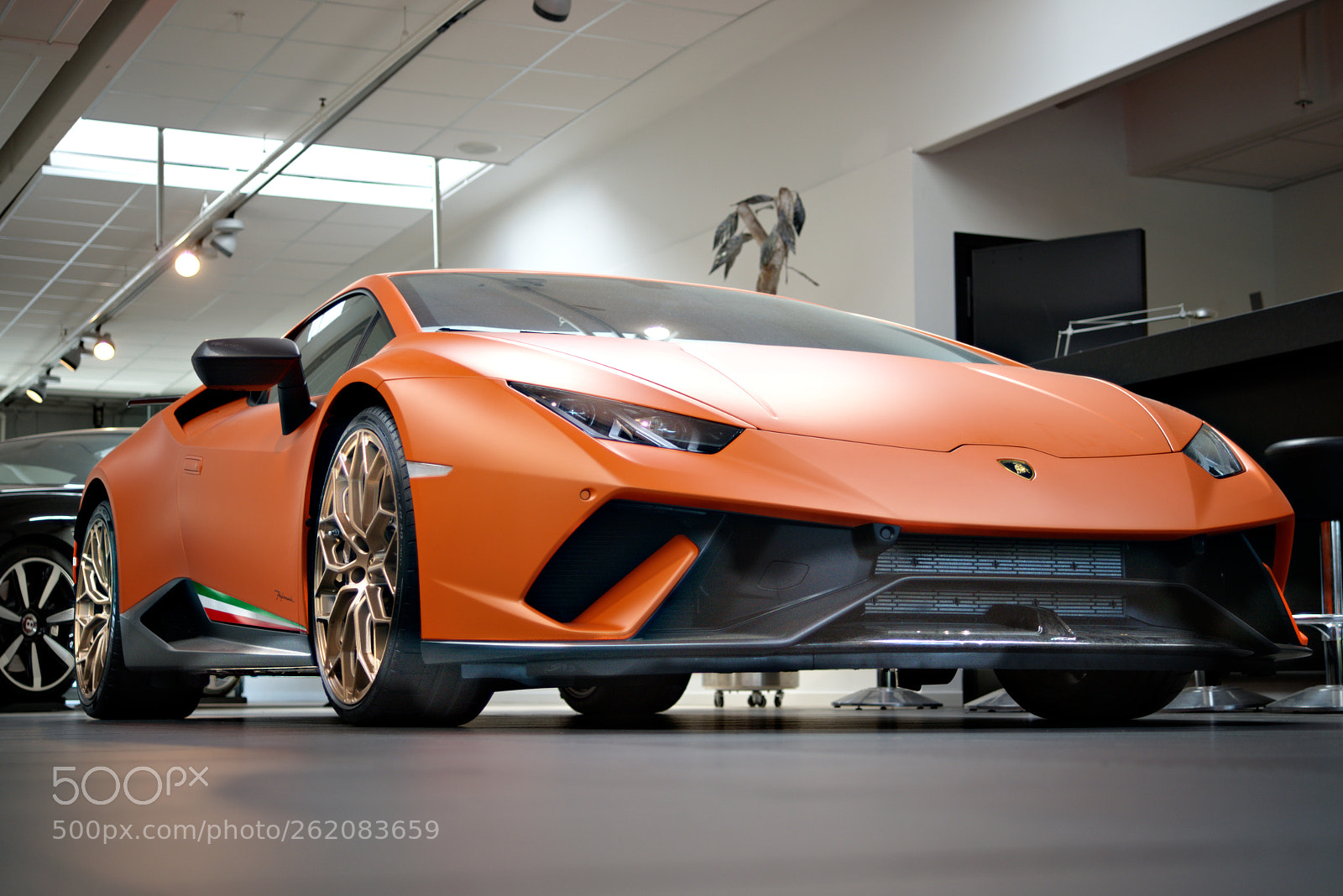 Nikon D800 sample photo. The lambo photography