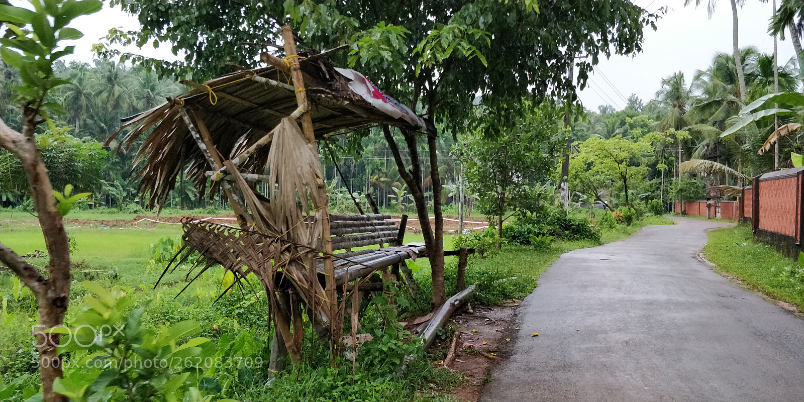 OnePlus 5T sample photo. Kerala - purest form photography