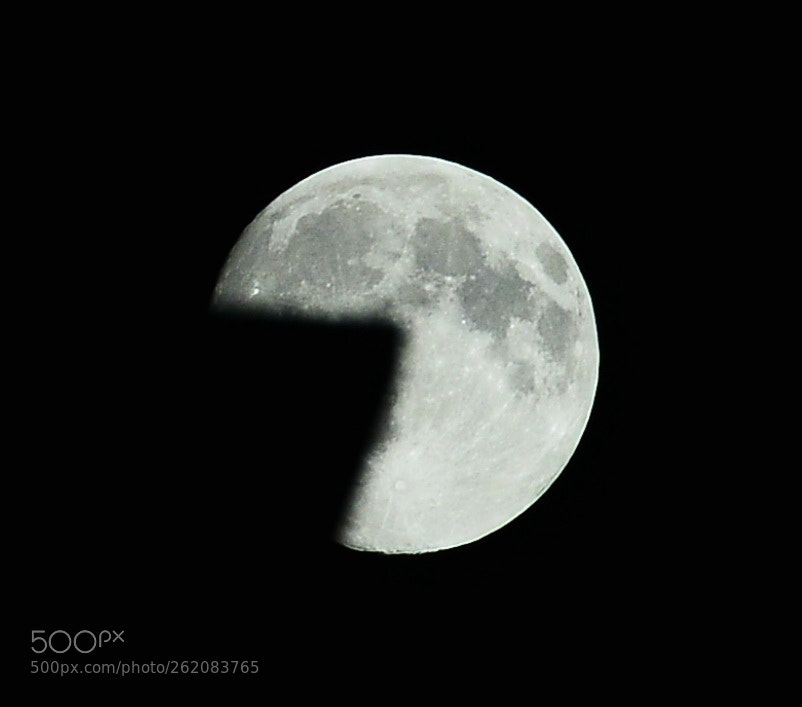 Nikon AF-S Nikkor 70-200mm F2.8G ED VR II sample photo. Untitled photography
