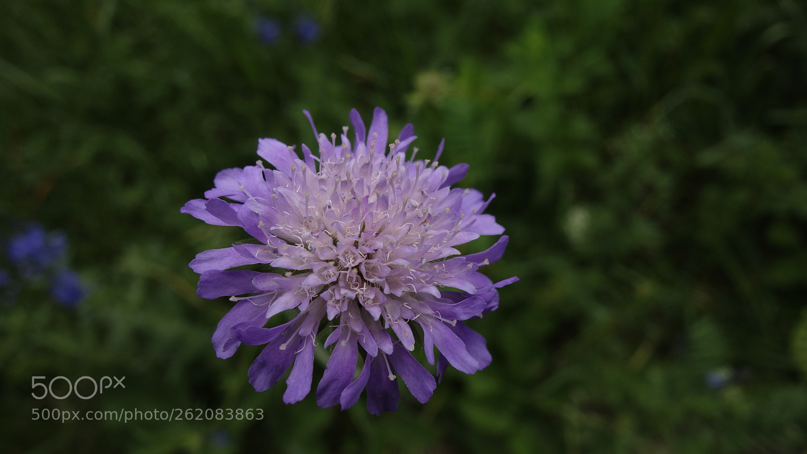 Sony Cyber-shot DSC-RX100 sample photo. One photography