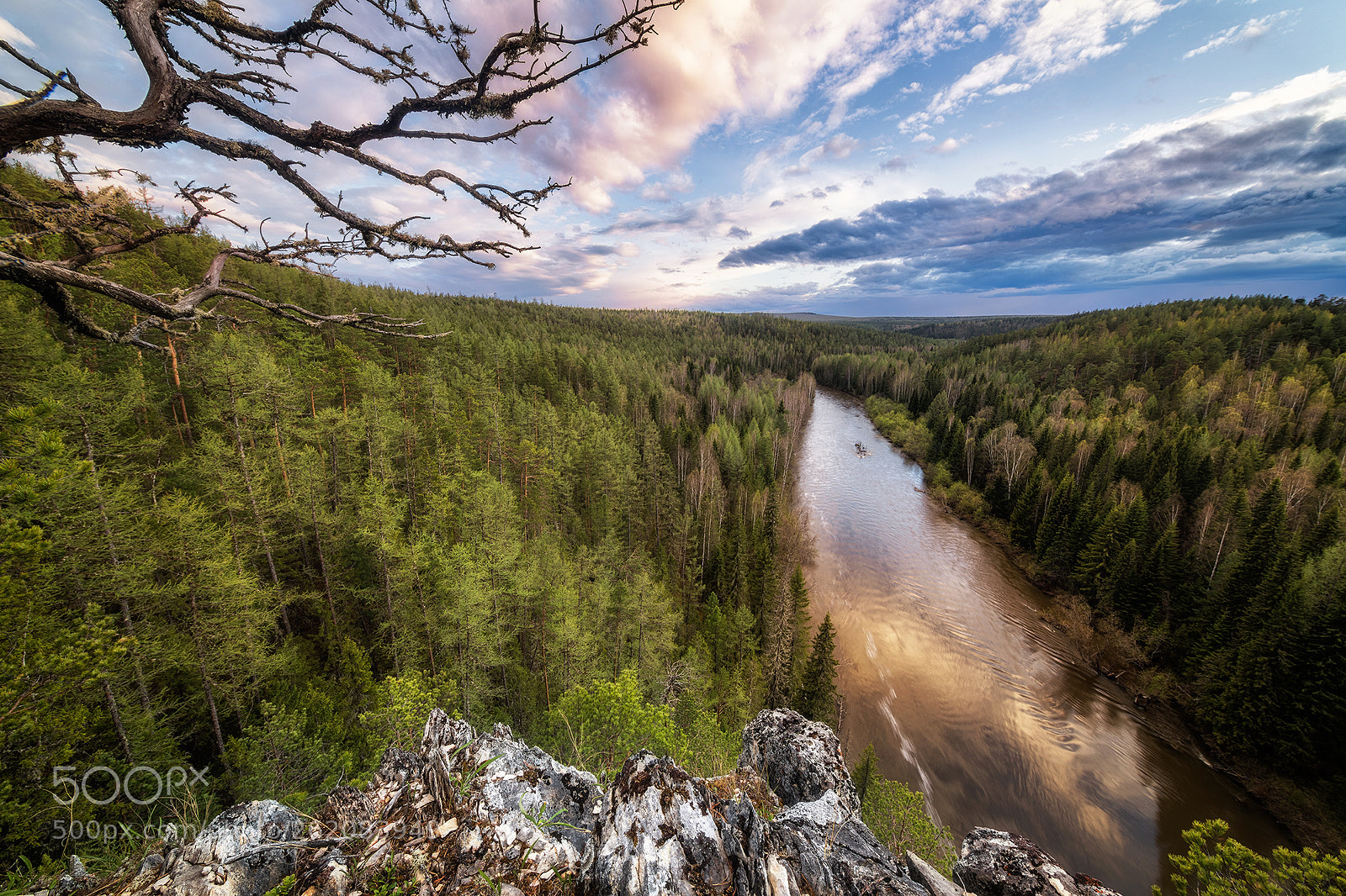 Nikon D850 sample photo. Ivdel river and forests photography