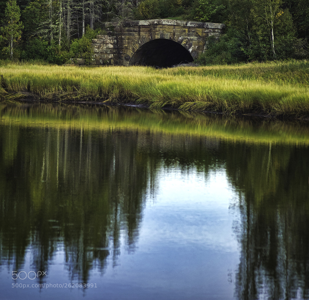 Kodak DCS Pro 14N sample photo. Railroad bridge amherst shore photography