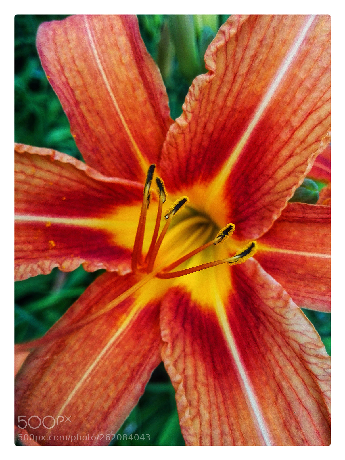 HUAWEI P7-L10 sample photo. Untitled photography