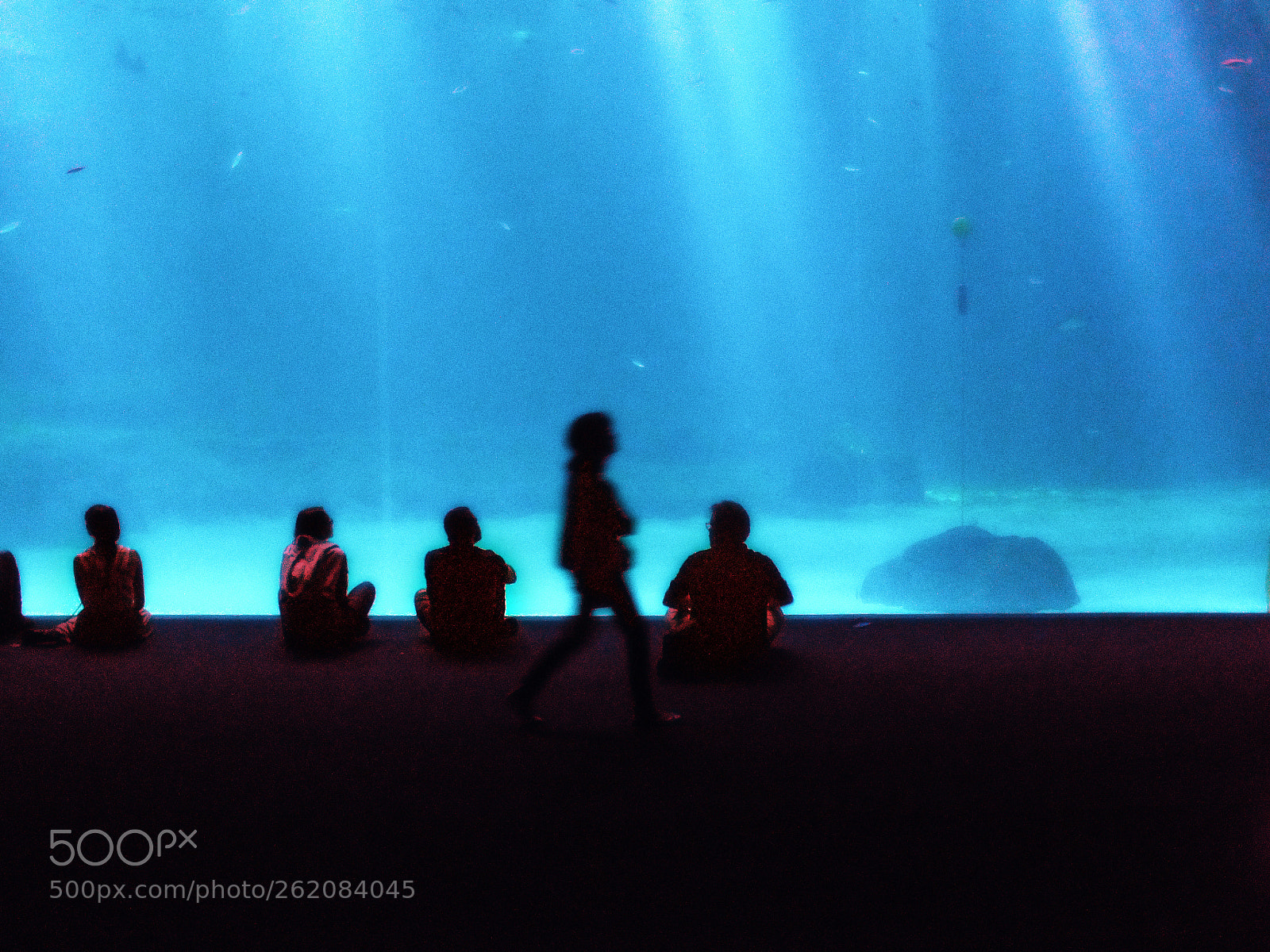 FujiFilm FinePix HS20 EXR (FinePix HS22 EXR) sample photo. Of fish and men photography