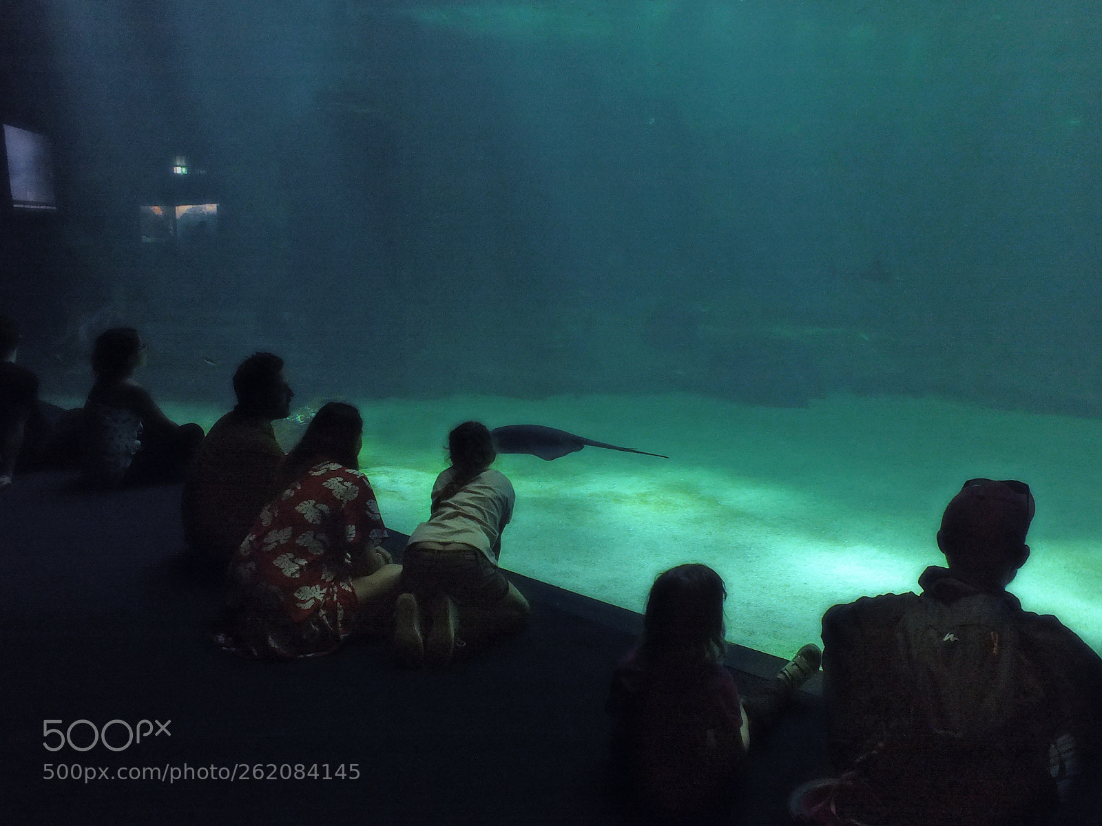 FujiFilm FinePix HS20 EXR (FinePix HS22 EXR) sample photo. Des poissons et des photography