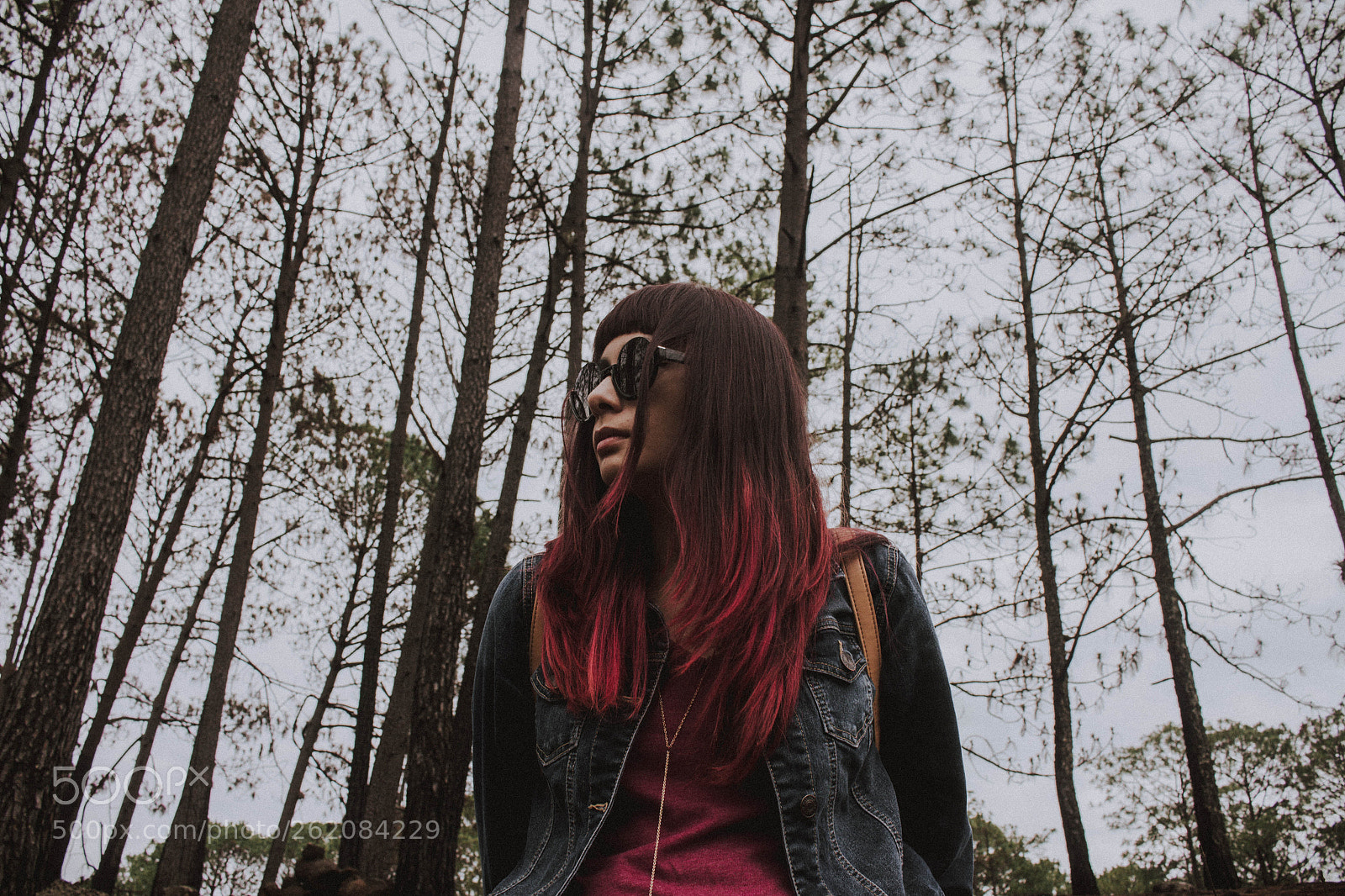 Canon EOS 700D (EOS Rebel T5i / EOS Kiss X7i) sample photo. Stephanie's wood photography