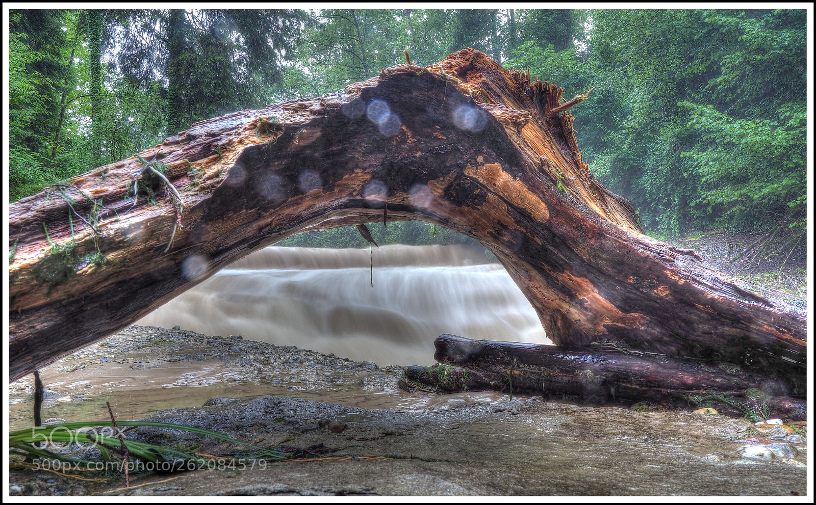 Olympus OM-D E-M1 Mark II sample photo. Etwas näher drann photography