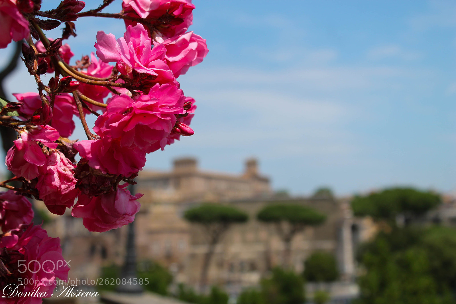 Canon EOS 1100D (EOS Rebel T3 / EOS Kiss X50) sample photo. Rome in the spring photography