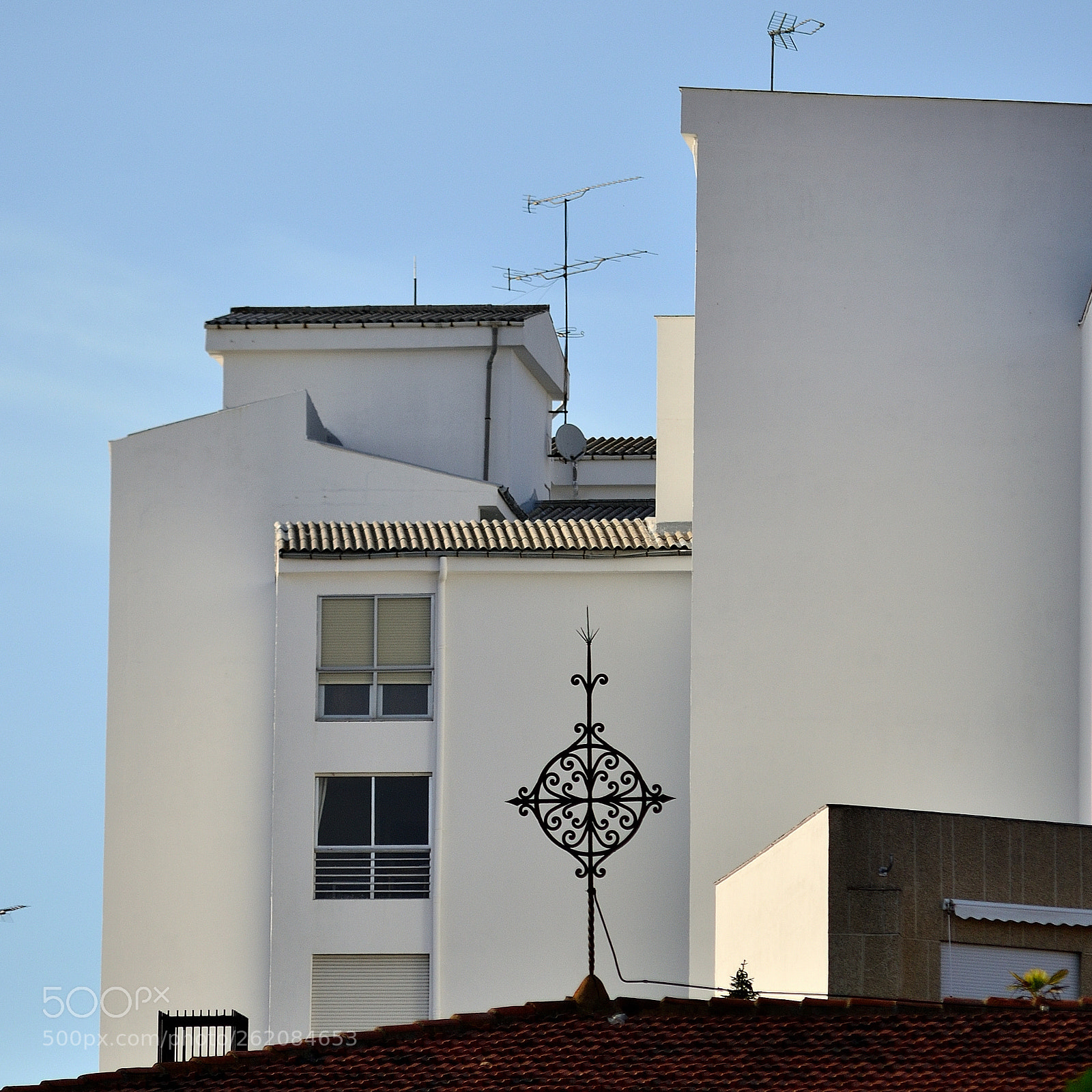 Nikon D3100 sample photo. Untitled photography