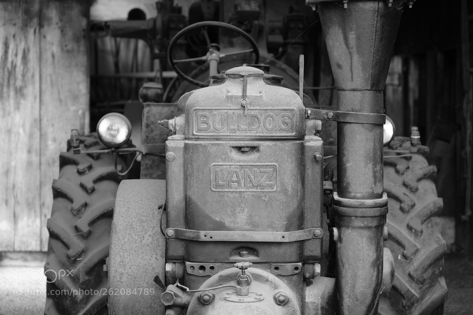 Sony a7R III sample photo. Lanz bulldog photography