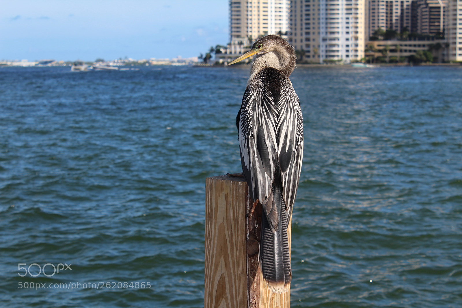 Canon EOS 1200D (EOS Rebel T5 / EOS Kiss X70 / EOS Hi) sample photo. Resting... photography