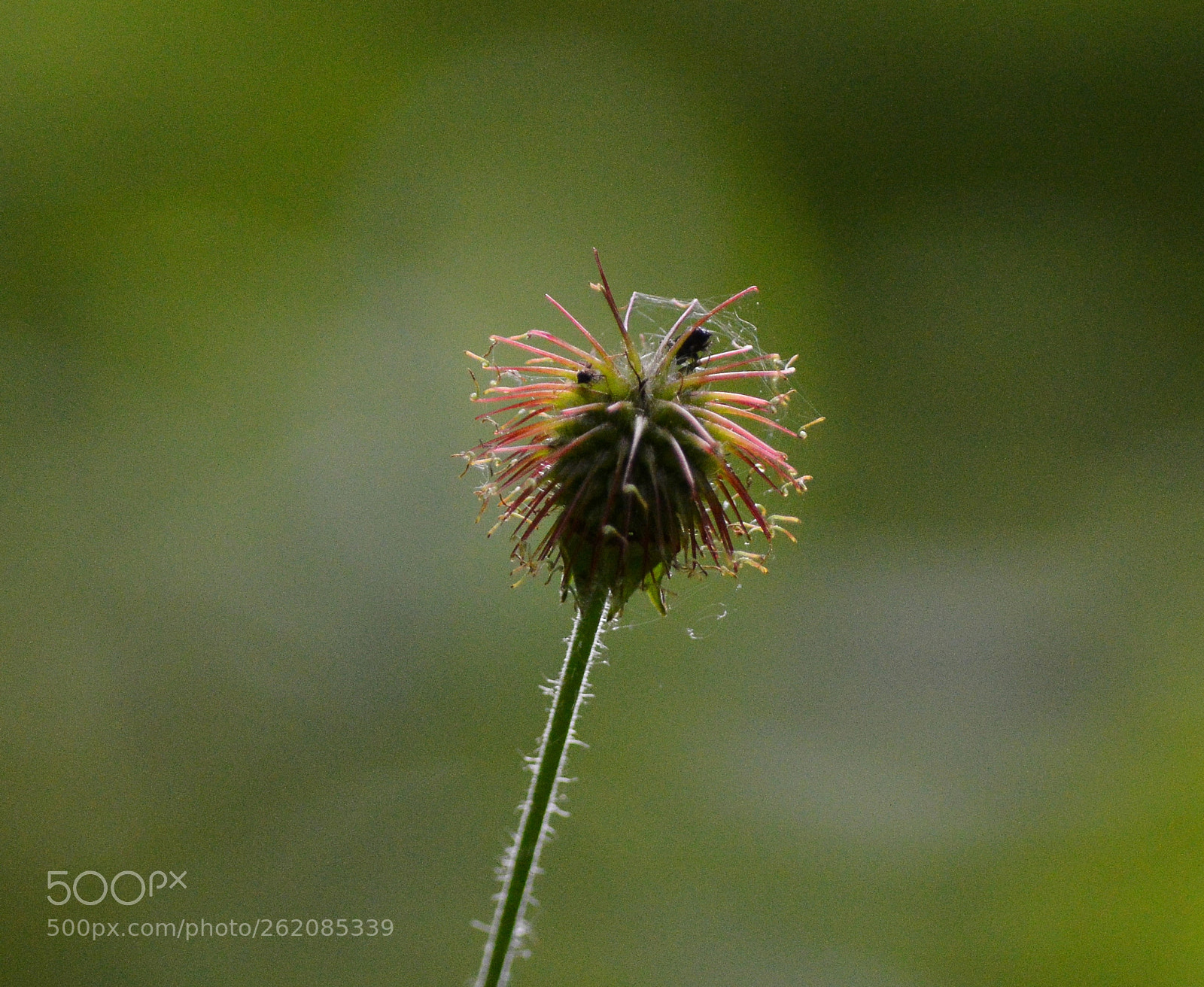 Nikon D3200 sample photo. Untitled photography